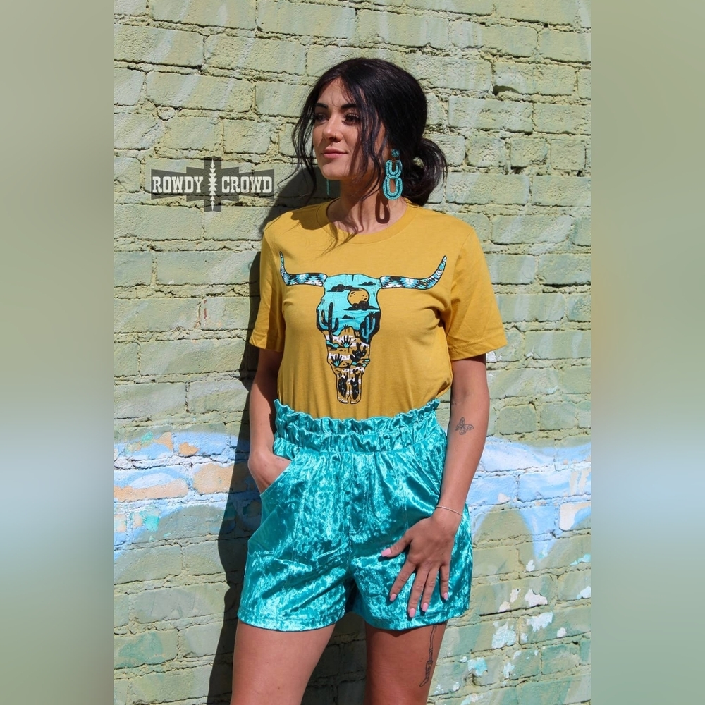 Turquoise Velvet Shorts